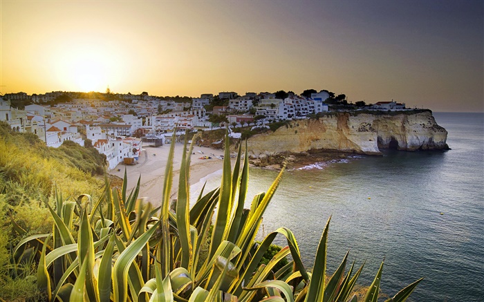 Carvoeiro, Häuser, Küste, Abenddämmerung, Lagoa, Faro, Portugal Hintergrundbilder Bilder