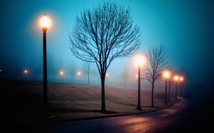 Stadt, Nacht, Nebel, Straße, Park, Licht Hintergrundbilder Bilder