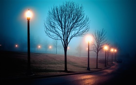 Stadt, Nacht, Nebel, Straße, Park, Licht HD Hintergrundbilder