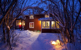 Berghütte, schneebedeckte Bäume, Schweden, Nacht, Lichter