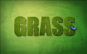 kreatives Design, grünen Gras HD Hintergrundbilder