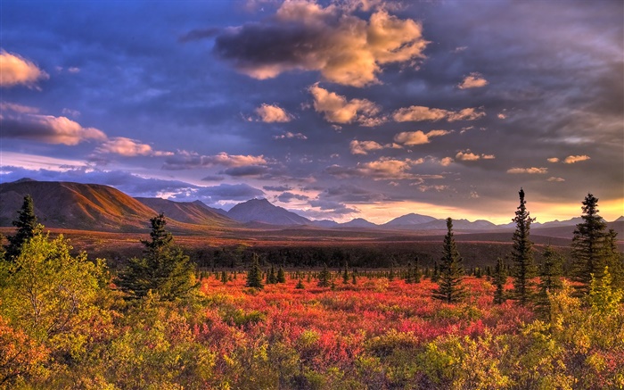 Denali Nationalpark, Alaska, USA, Wolken, Dämmerung, Gras Hintergrundbilder Bilder