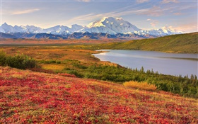Denali Nationalpark, Alaska, USA, Gras, See, die Berge HD Hintergrundbilder