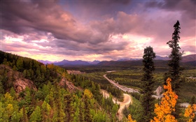 Denali Nationalpark, Alaska, USA, Straße, Bäume, Wolken HD Hintergrundbilder