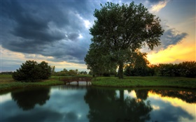 Abenddämmerung, Bäume, Gras, Wasser Reflexion, Sonnenuntergang HD Hintergrundbilder