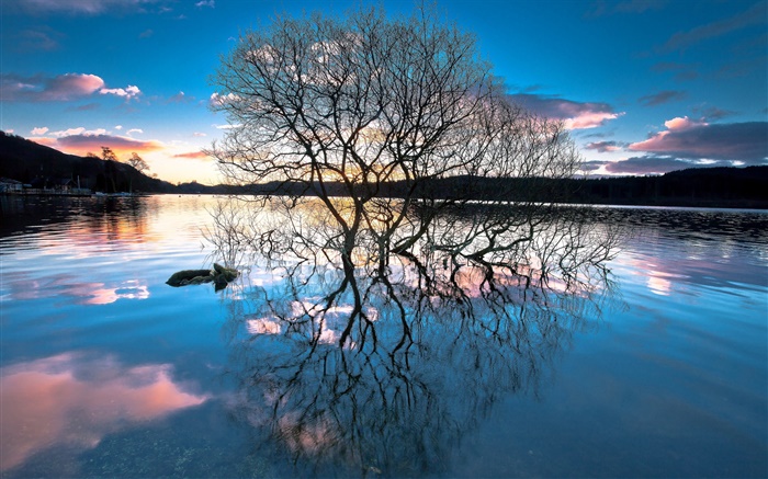 Abenddämmerung, Bäume in dem See, Wasser Reflexion, Sonnenuntergang Hintergrundbilder Bilder