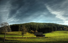 Farmland, Haus, Bäume, Wolken HD Hintergrundbilder
