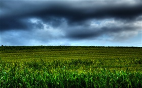Ackerland Landschaften, Wolken, Dämmerung HD Hintergrundbilder