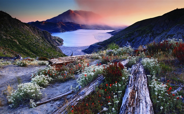 Blumen, Hang, vulkanischen See, Bäume, Berge, Morgendämmerung, Nebel Hintergrundbilder Bilder