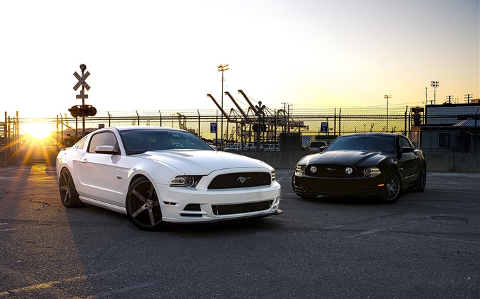 Ford Mustang weiße und schwarze Autos Hintergrundbilder Bilder