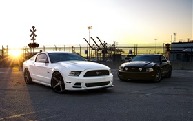 Ford Mustang weiße und schwarze Autos HD Hintergrundbilder