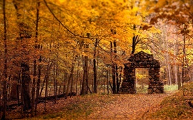 Wald, Bäume, Herbst, rot Art, Steintor HD Hintergrundbilder