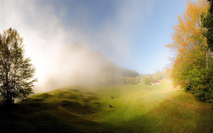 Gras, Nebel, Morgen, Haus, Glarus, Schweiz Hintergrundbilder Bilder