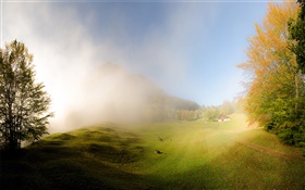 Gras, Nebel, Morgen, Haus, Glarus, Schweiz HD Hintergrundbilder