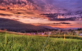 Gras, Bergen, auf dem Dorf, rot Himmel, Abenddämmerung, Wolken HD Hintergrundbilder