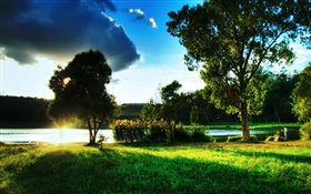 Gras, Bäume, Fluss, Sonne Strahlen, Wolken HD Hintergrundbilder