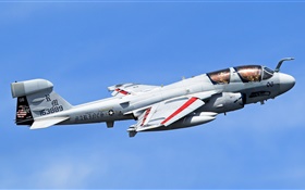 Grumman EA-6B Prowler Flugzeuge