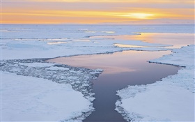 Eis, Schnee, Meer, Küste, Sonnenaufgang HD Hintergrundbilder