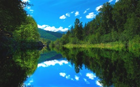 See, Wald, Bäume, blauer Himmel, Wasser Reflexion