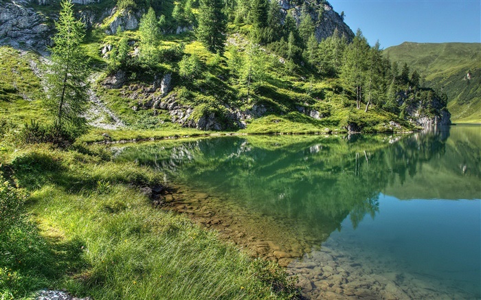 See, Berge, Bäume, Gras, Wasser Reflexion Hintergrundbilder Bilder