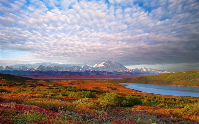 See, Bäume, Wolken, Dämmerung, Denali Nationalpark, Alaska, USA Hintergrundbilder Bilder