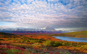 See, Bäume, Wolken, Dämmerung, Denali Nationalpark, Alaska, USA HD Hintergrundbilder