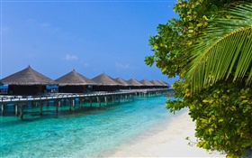 Freizeit-Resort, Hütten, tropischen Küste HD Hintergrundbilder