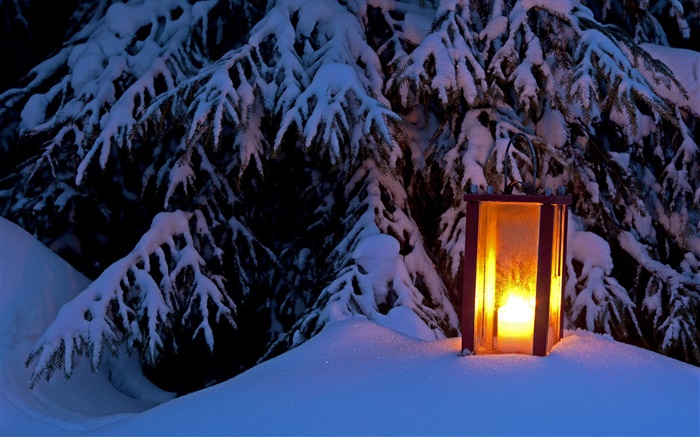 Beleuchteten Laterne, schneebedeckten Baum, Winter Hintergrundbilder Bilder