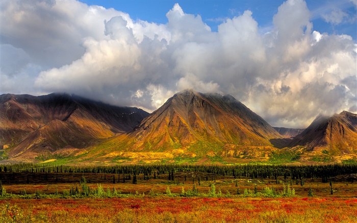 Berge, Bäume, Wolken, Denali Nationalpark, Alaska, USA Hintergrundbilder Bilder