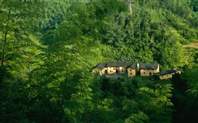 Berge, Bäume, Grün, altes Haus, chinesische Landschaft