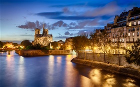 Notre Dame, Frankreich, Fluss, Bäume, Haus, Nacht, Lichter HD Hintergrundbilder