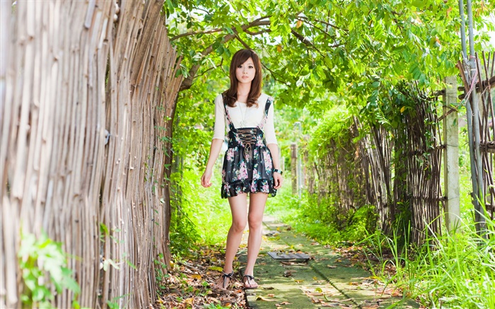 Weg, Baum, reines Mädchen, Taiwan Hintergrundbilder Bilder