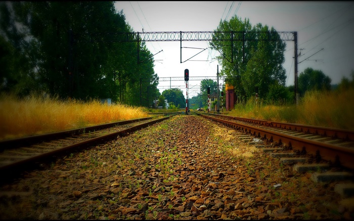 Eisenbahn, Bäume, Stromleitungen, rotes Licht Hintergrundbilder Bilder