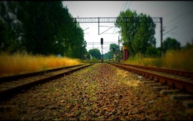 Eisenbahn, Bäume, Stromleitungen, rotes Licht HD Hintergrundbilder