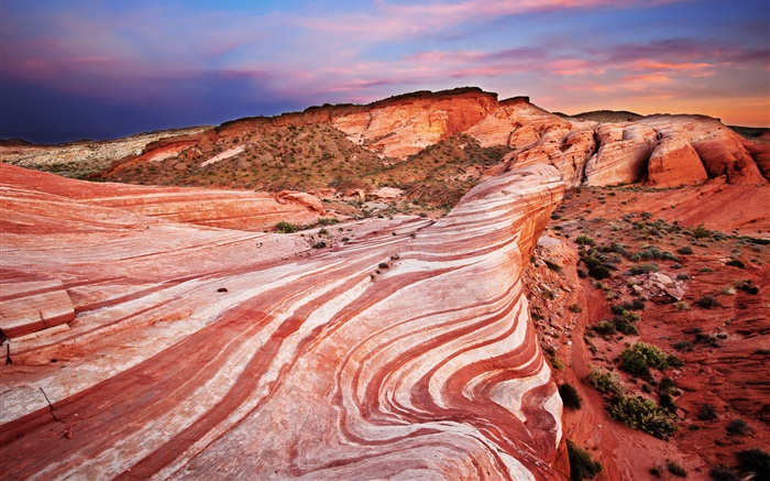 Rote Felsen, Wüste, Sonnenuntergang Hintergrundbilder Bilder