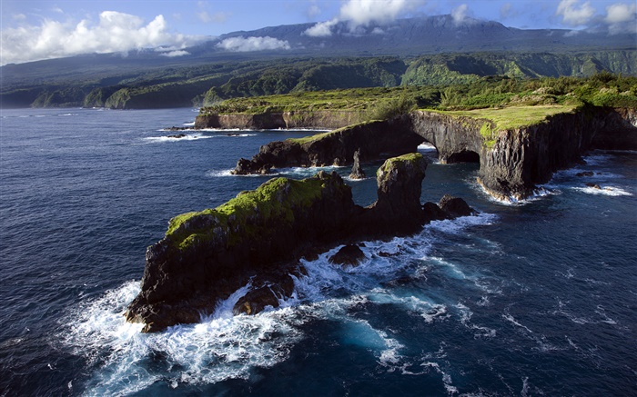 Felsigen Küste, Pazifik, Maui, Hawaii Hintergrundbilder Bilder
