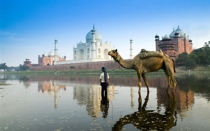 Taj Mahal, Indien, Kamel Hintergrundbilder Bilder