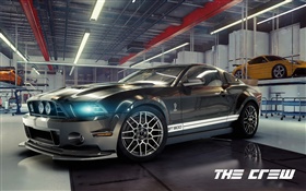 Die Crew, Ford Mustang Shelby Auto HD Hintergrundbilder