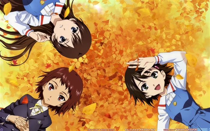Drei Mädchen, die Grund anime Hintergrundbilder Bilder