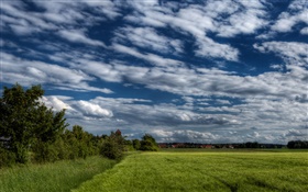 Bäume, Feld, Haus, Wolken HD Hintergrundbilder