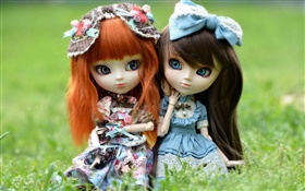 Zwei Spielzeug-Mädchen, rot und schwarzes Haar, Puppe