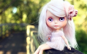 Weiße Haare, Spielzeug Mädchen, Puppe HD Hintergrundbilder