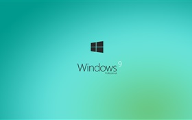 Windows-9, Profi, hellblau