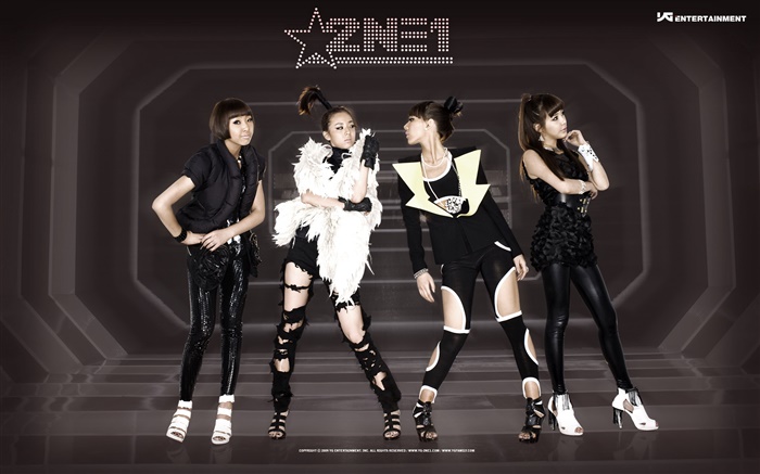 2NE1, koreanische Musik Mädchen 07 Hintergrundbilder Bilder