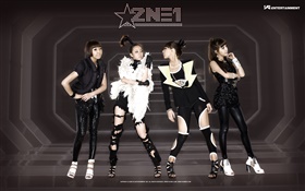 2NE1, koreanische Musik Mädchen 07 HD Hintergrundbilder