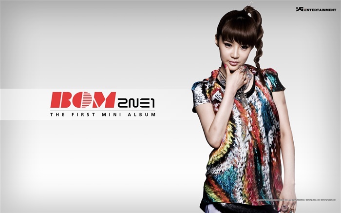 2NE1, koreanische Musik Mädchen 08 Hintergrundbilder Bilder