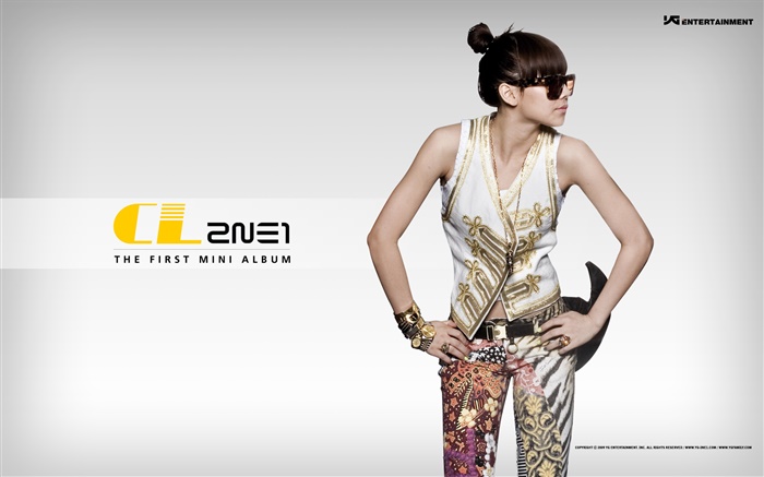 2NE1, koreanische Musik Mädchen 09 Hintergrundbilder Bilder