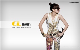 2NE1, koreanische Musik Mädchen 09 HD Hintergrundbilder