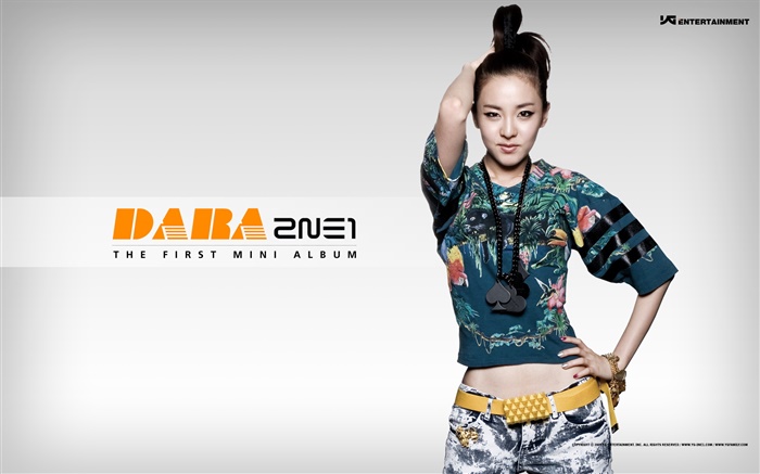 2NE1, koreanische Musik Mädchen 10 Hintergrundbilder Bilder