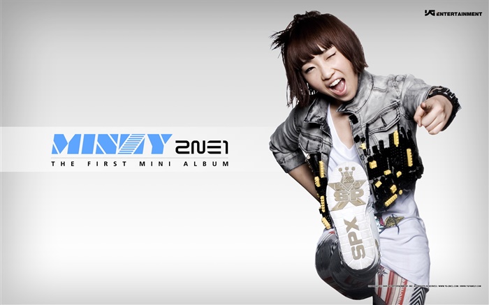 2NE1, koreanische Musik Mädchen 11 Hintergrundbilder Bilder